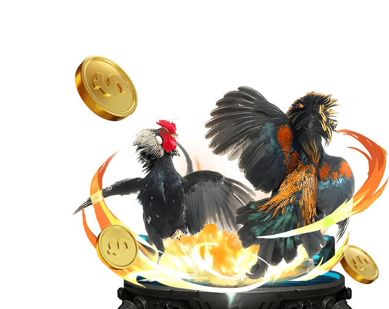 Tỷ lệ cược hấp dẫn 98win